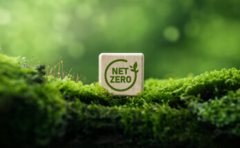 achieving-a-zero-emission-future-pioneering-pathways-for-a-sustainable-world